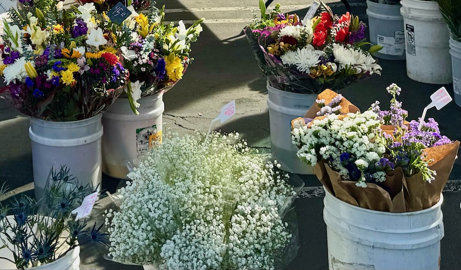 Farmers Market It's a Community Tradition in Ladera Ladera Ranch